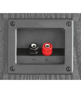 FENTON SHFT52B PAREJA ALTAVOCES PASIVOS DE COLUMNA 2x6.5" 250W Rms (Negro)