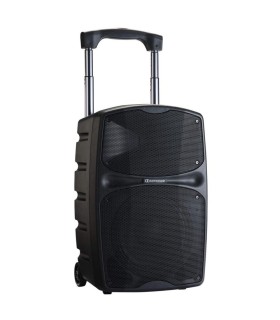 AUDIOPHONY RACER250 Evo ALTAVOZ PORTÁTIL 12" CON BATERÍA 250W RMS BLUETOOTH TWS