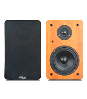 WIIBO NEO 100 ALTAVOZ ACTIVO + PASIVO DE ESTANTERÍA 100W Rms BT 5"