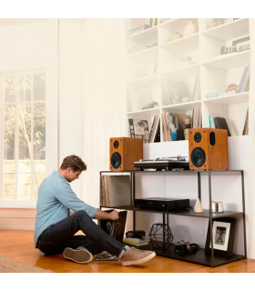 WIIBO NEO 100 ALTAVOZ ACTIVO + PASIVO DE ESTANTERÍA 100W Rms BT 5"