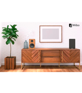 WIIBO NEO 100 ALTAVOZ ACTIVO + PASIVO DE ESTANTERÍA 100W Rms BT 5"