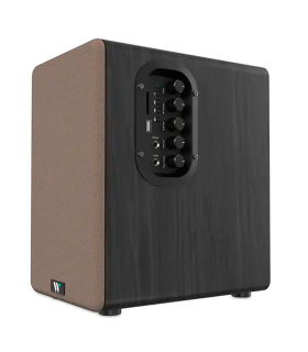 WIIBO NEO 100 V2 ALTAVOZ ACTIVO + PASIVO DE ESTANTERÍA 100W Rms BT 5"