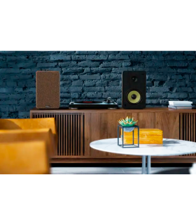 WIIBO NEO 100 V2 ALTAVOZ ACTIVO + PASIVO DE ESTANTERÍA 100W Rms BT 5"