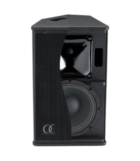 S10 ALTAVOZ PASIVO 10" 250W RMS AUDIOPHONY