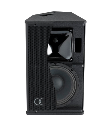 S10 ALTAVOZ PASIVO 10" 250W RMS AUDIOPHONY